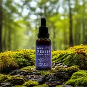 Untitled image-Pacdora(2).webp